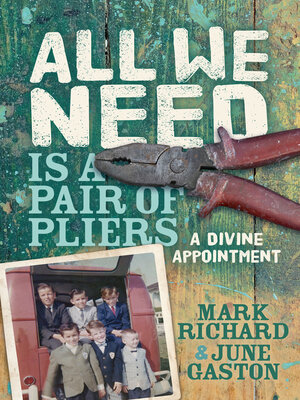 cover image of All We Need Is a Pair of Pliers